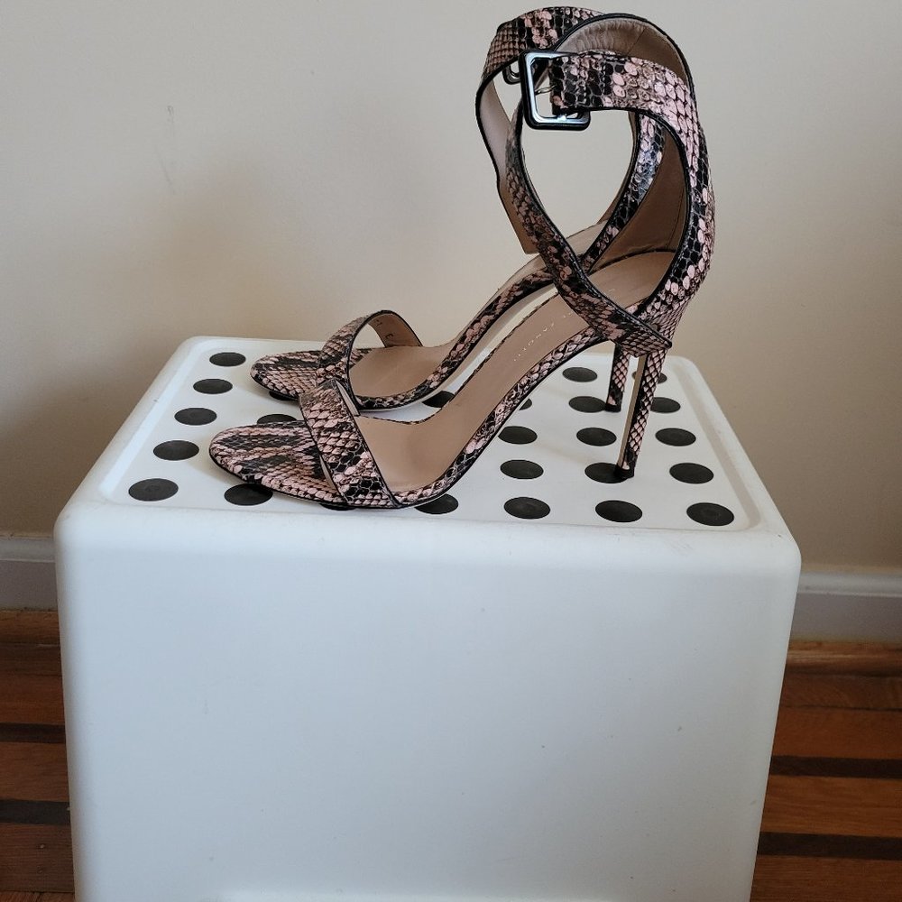 Giuseppe Zanotti